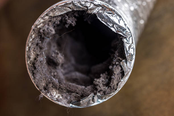 Best Emergency Air Duct Cleaning  in Eureka Springs, AR